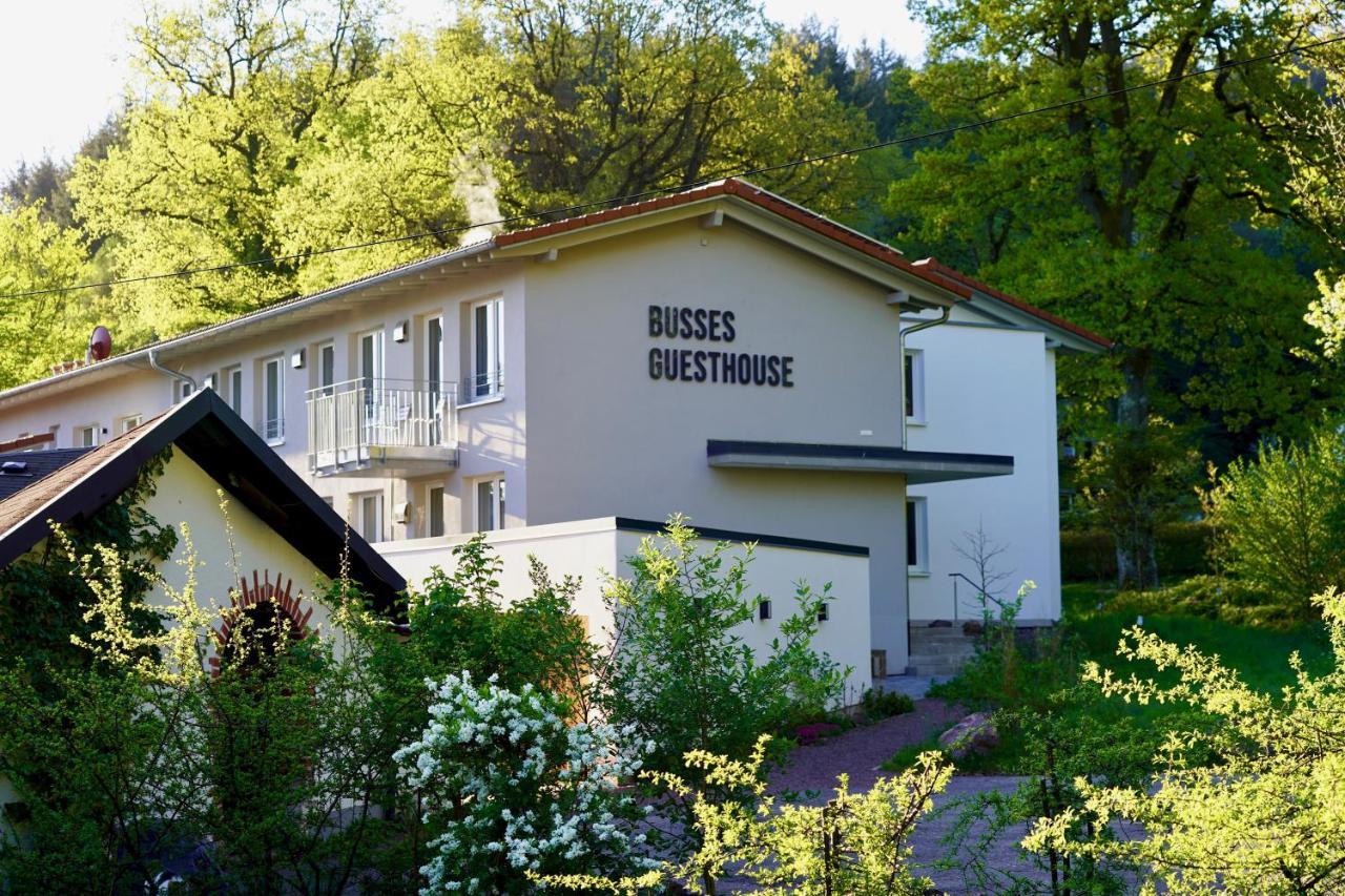Busses Guesthouse Freiburg Bagian luar foto